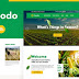 Seodo - Agriculture Farming Foundation HTML Template 