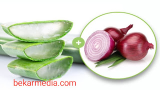 চুলের যত্বনে এলোভেরা ব্যবহার