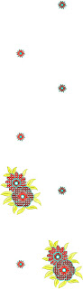 'n ongelooflike Kurti