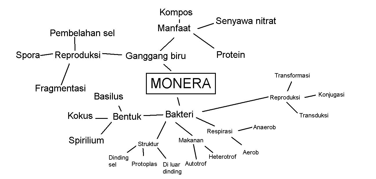 Biology @ X IPA High/Honor: 8. Mind Mapping