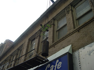 small green tree growing out of fire escape counterbalance weight, Main Street, Downtown Dallas, Texas