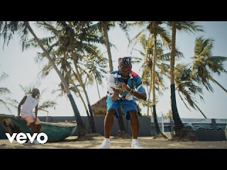 Video, DJ Spinall ft Fireboy Dml - sere, DJ Spinall, Fireboy Dml, sere