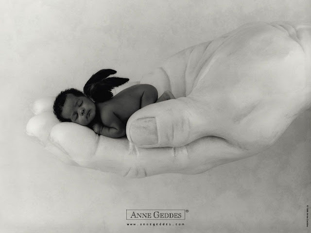 Baby Pictures Anne Geddes Photos