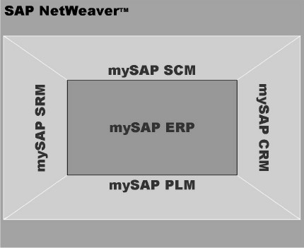 mySAP Business Suite - Consultoria-SAP