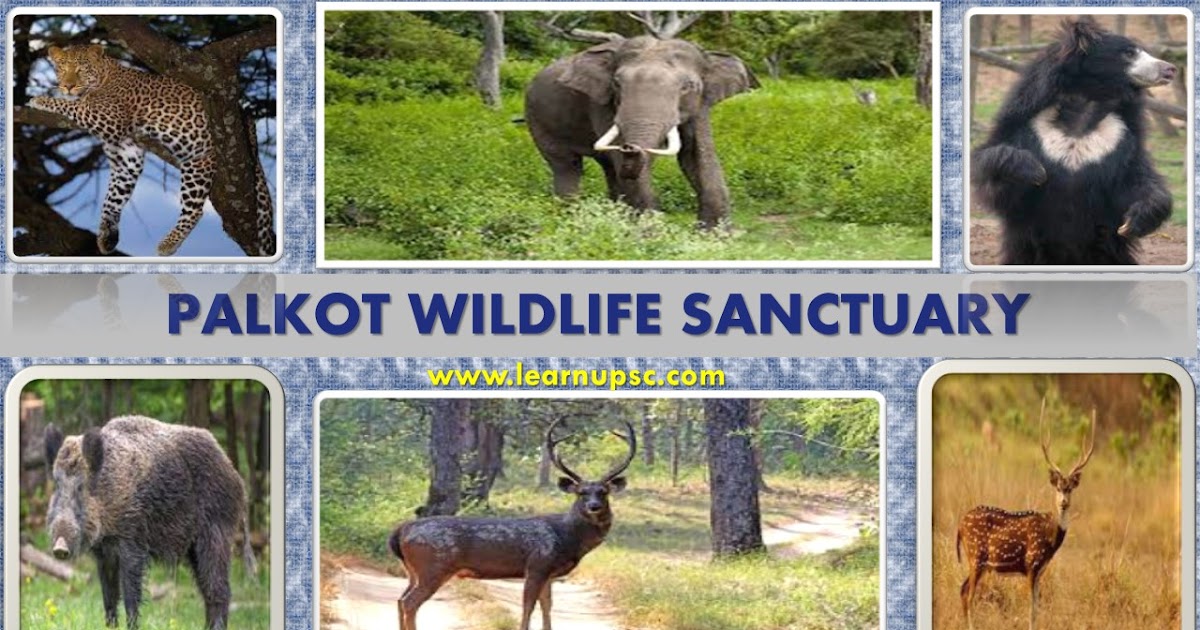 Palkot Wildlife Sanctuary - Learn UPSC