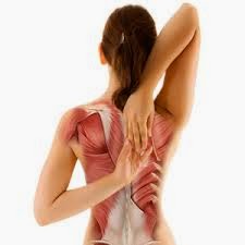 Types Of Back Pain And Its Solution Back Pain