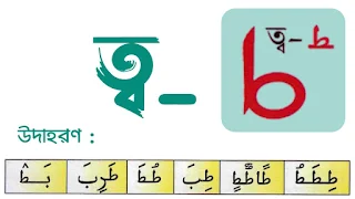 ত/ত্ব অক্ষর পরিচয়,  ত/ত্ব এর পরিচয় , ত/ত্ব ,to  Arabic letter