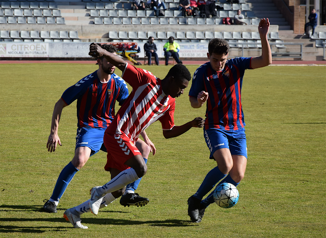 Resultat d'imatges de odilo cfgava