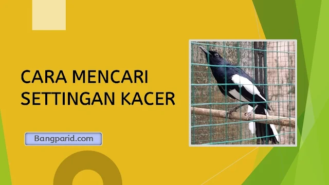 CARA MENCARI SETTINGAN KACER