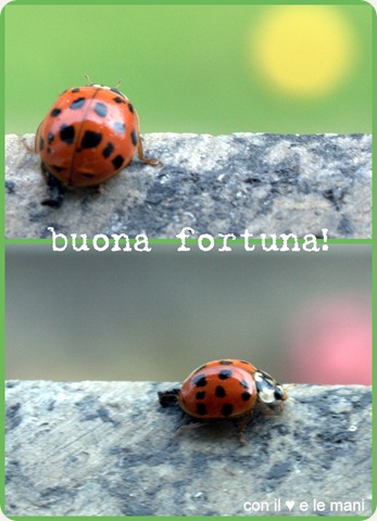 foto nuove