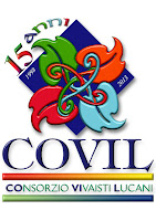 covilvivai.com