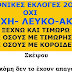 Η ''επίσημη'' εκλογική νοθεία