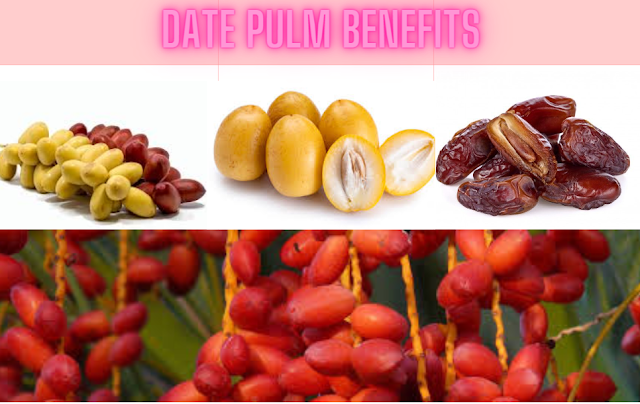 Date Plum Benefits for Human Body