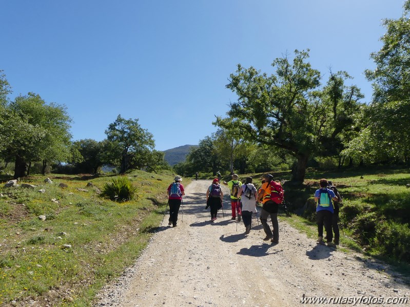 Estación de Cortes - Estación de Benaoján por el sendero del río Guadiaro