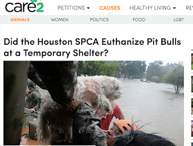 http://www.care2.com/causes/did-the-houston-spca-euthanize-pit-bulls-at-a-temporary-shelter.html