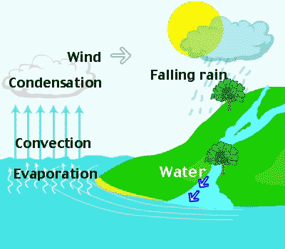 water cycle pictures. The water cycle is the