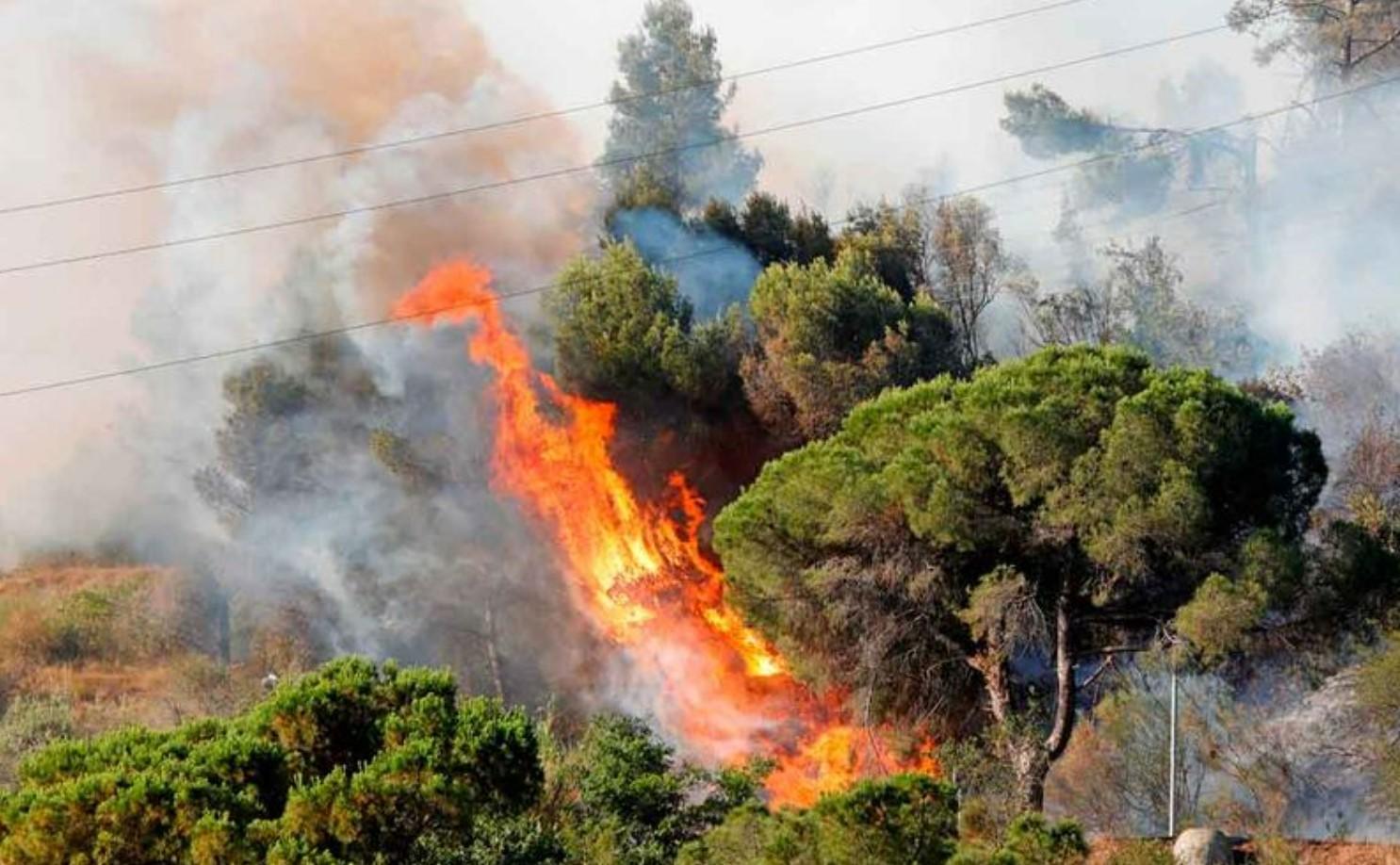 Impactos Ambientales, Económicos y Sociales de los Incendios Forestales