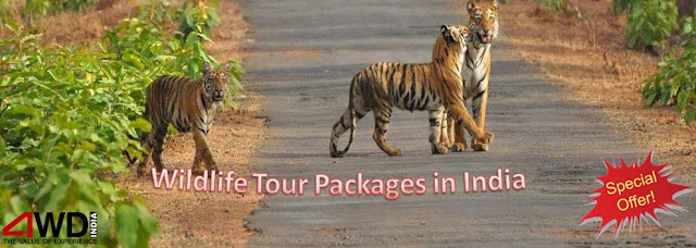 wildlife tour packages in india