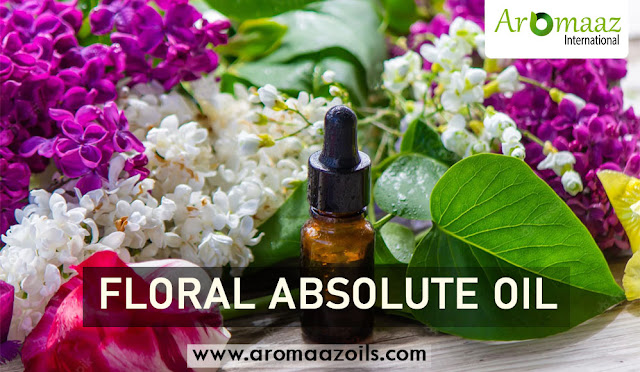 pure-floral-absolute-oils-suppliers-aromaazoils