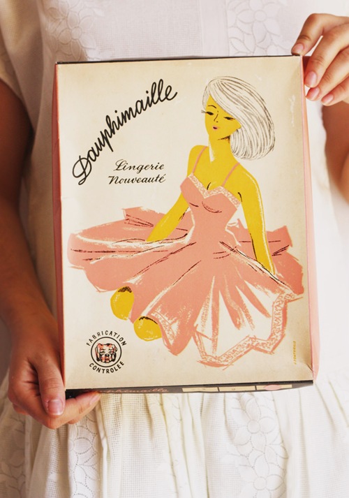dauphimaille