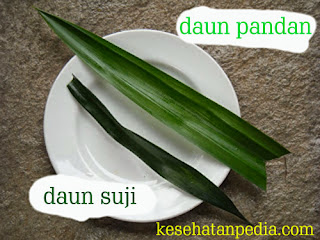 Perbedaan Daun Suji dan Daun Pandan Wangi