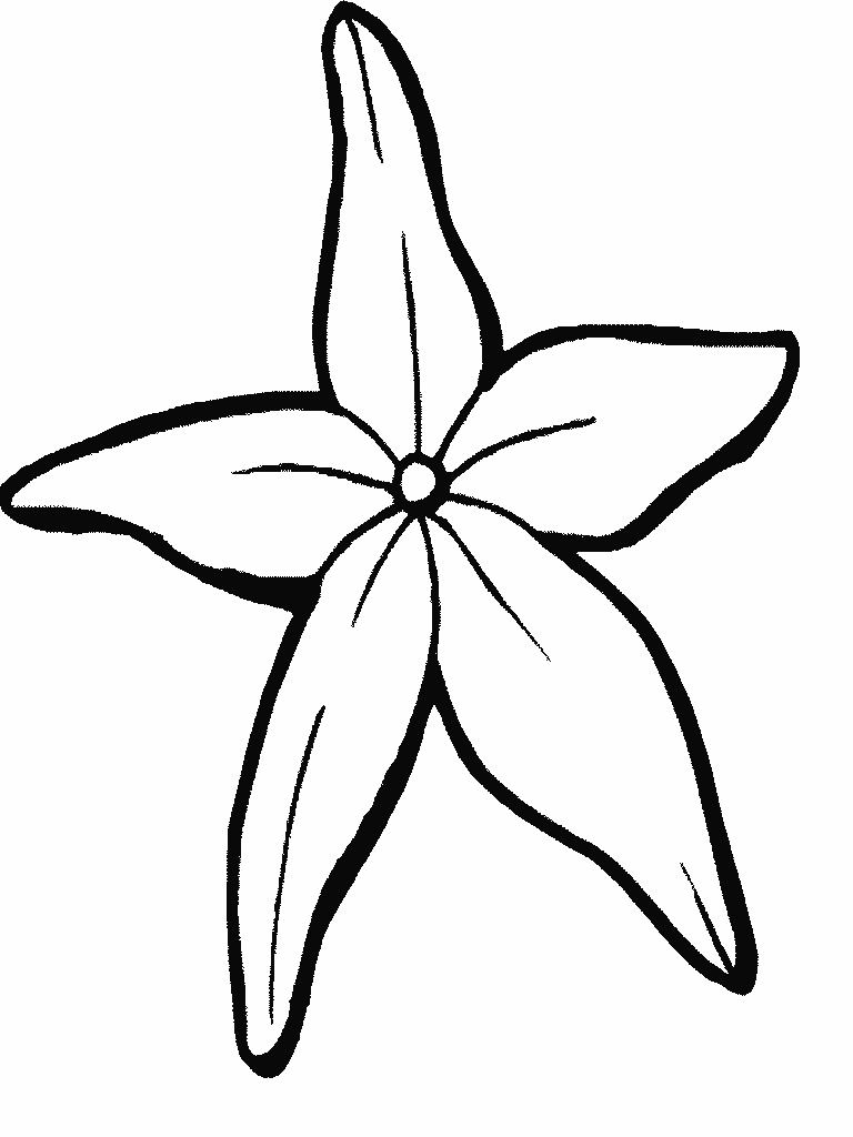 Starfish Coloring Page