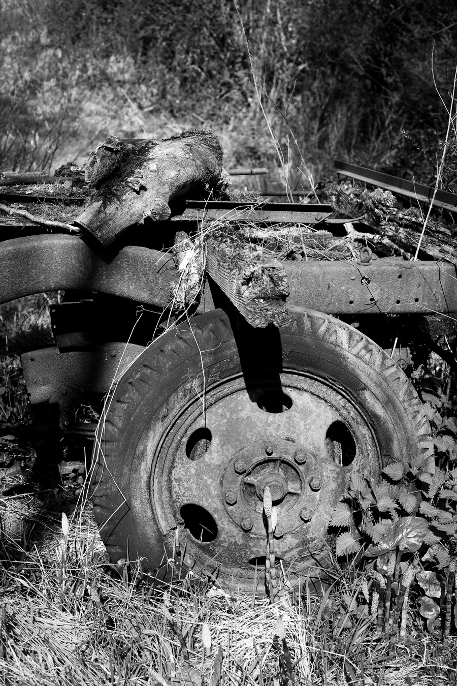 old tire photograph
