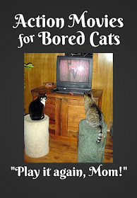 Action Movies for Bored Cats: How to keep your finicky felines entertained.