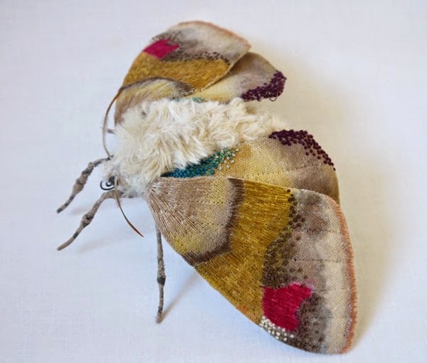 insect-6