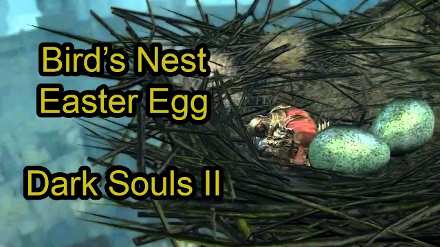 Pictures Of Birds Nest With Eggs