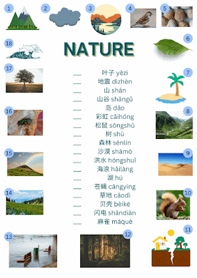 Nature : A Matching Puzzle for Chinese Learners