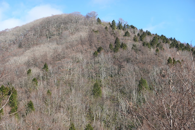 鳥取県日野郡江府町御机 蒜山大山スカイラインからの眺望