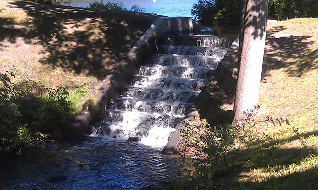 waterfall at Roger Williams Park