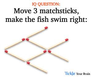 Matchstick Fish