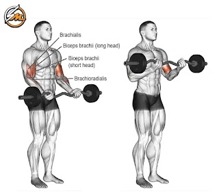 Bicep and Tricep Superset Workout for Mass