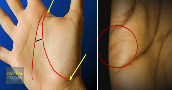 Do You Want To Know When Will You Get Married: These Lines On Your Palm Will Tell You! Here Is How…