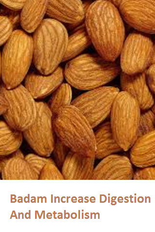 Health Benefits of Almond or Badam Increase Digestion And Metabolism