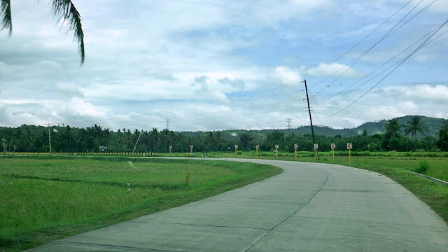 desolate but good roads amid vast rice fields between Villaba and Tabango Leyte