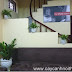 Những loại hoa cây cảnh bày trong phòng khách