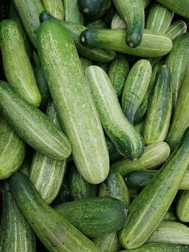  জেনে নিন শসা খাবার ১১টি উপকারিতা: (Benefits of Cucumber)