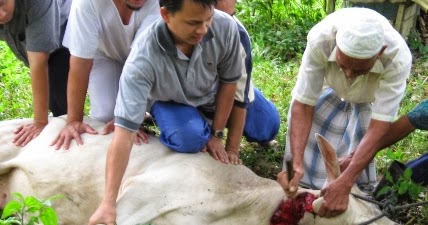 Khutbah Idul Adha: Menyelami Hikmah Ibadah Qurban - Asih 