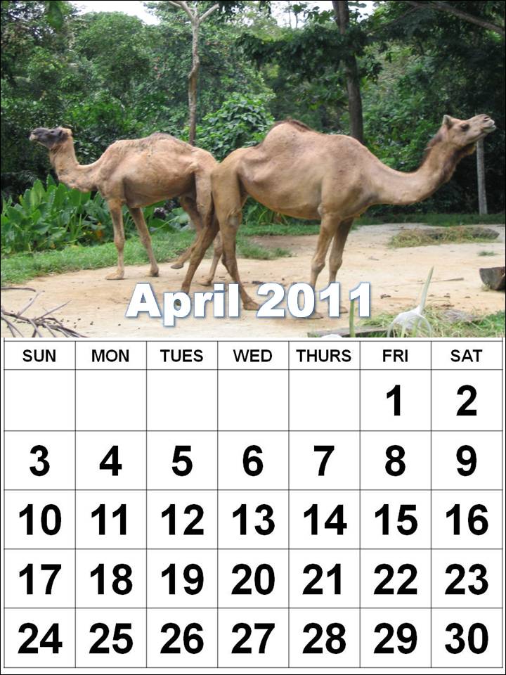 2011 calendar february and march. 2011 Calendar February And