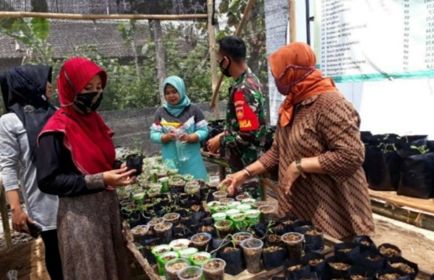 Siapkan Ketahanan pangan, KWT Mekar Mulya gandeng Babinsa