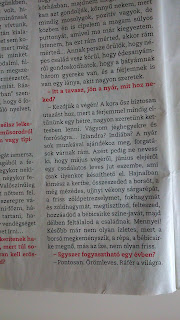 Kép