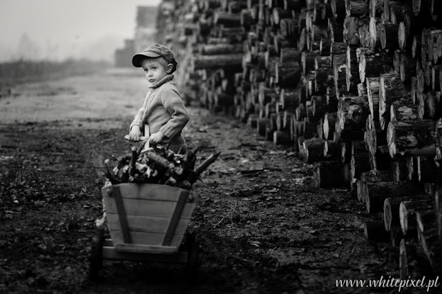 Mały smutny czteroletni chłopiec ciągnie wóz z suchymi gałęziami na sesję fotograficzną do Lublina