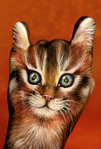 Hand Painting Sweet Cat,hand painting, animal painting,  