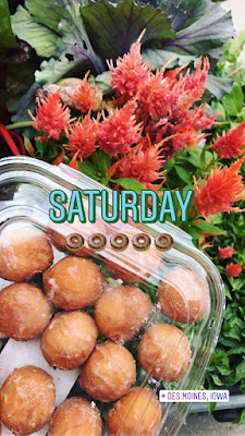 Donut holes and plants photo