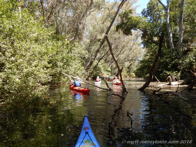 Kayak río Palmones