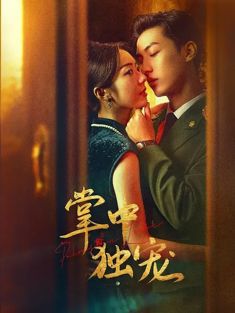 陸劇《掌中獨寵》演員&劇情介紹，預告/上映時間/集數/主要演員陣容/影音平台優酷/2024陸劇
