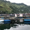 Kajian Potensi Pencemaran Keramba Jaring Apung PT. Aquafarm Nusantara Pada Ekosistim Perairan  Danau Toba